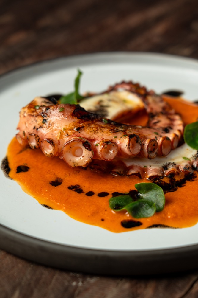 A dish from BABOU's menu