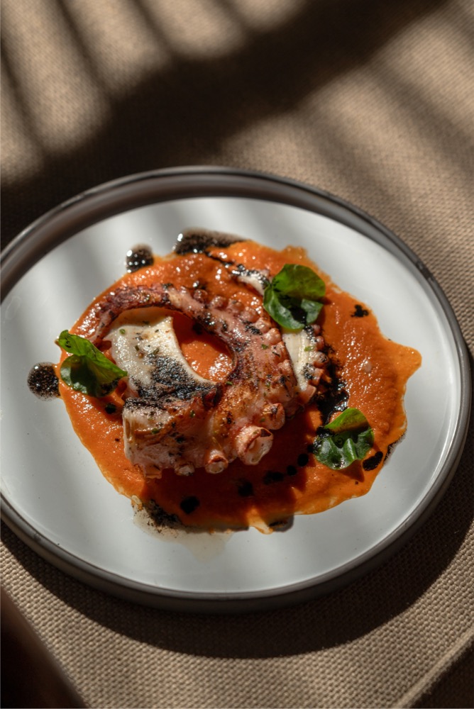 A dish from BABOU's menu