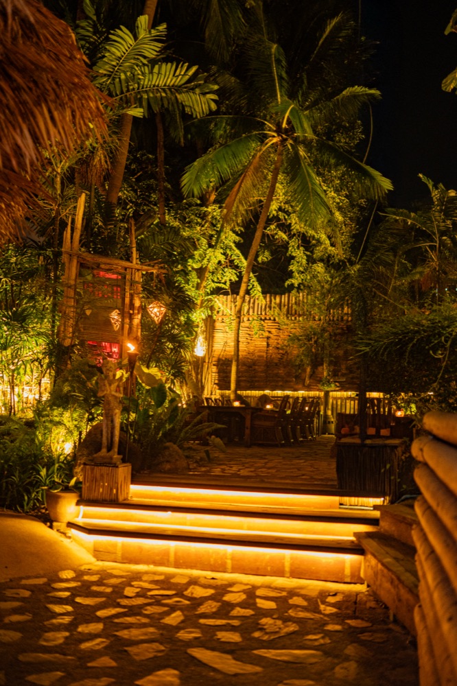The Jungle at BABOU, a torch-lit palm courtyard at night